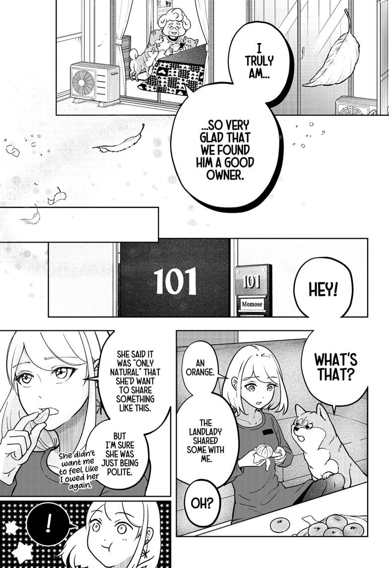 Shiba Inu Rooms Chapter 5 17