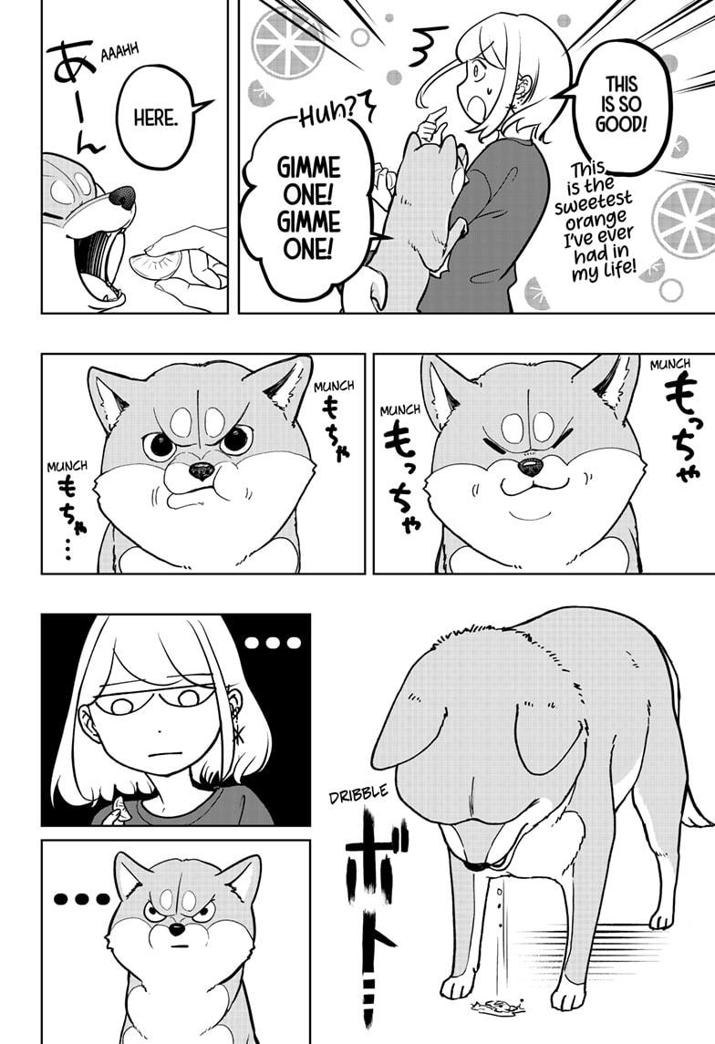 Shiba Inu Rooms Chapter 5 18