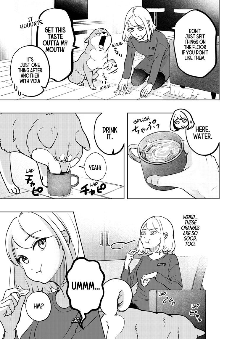 Shiba Inu Rooms Chapter 5 19