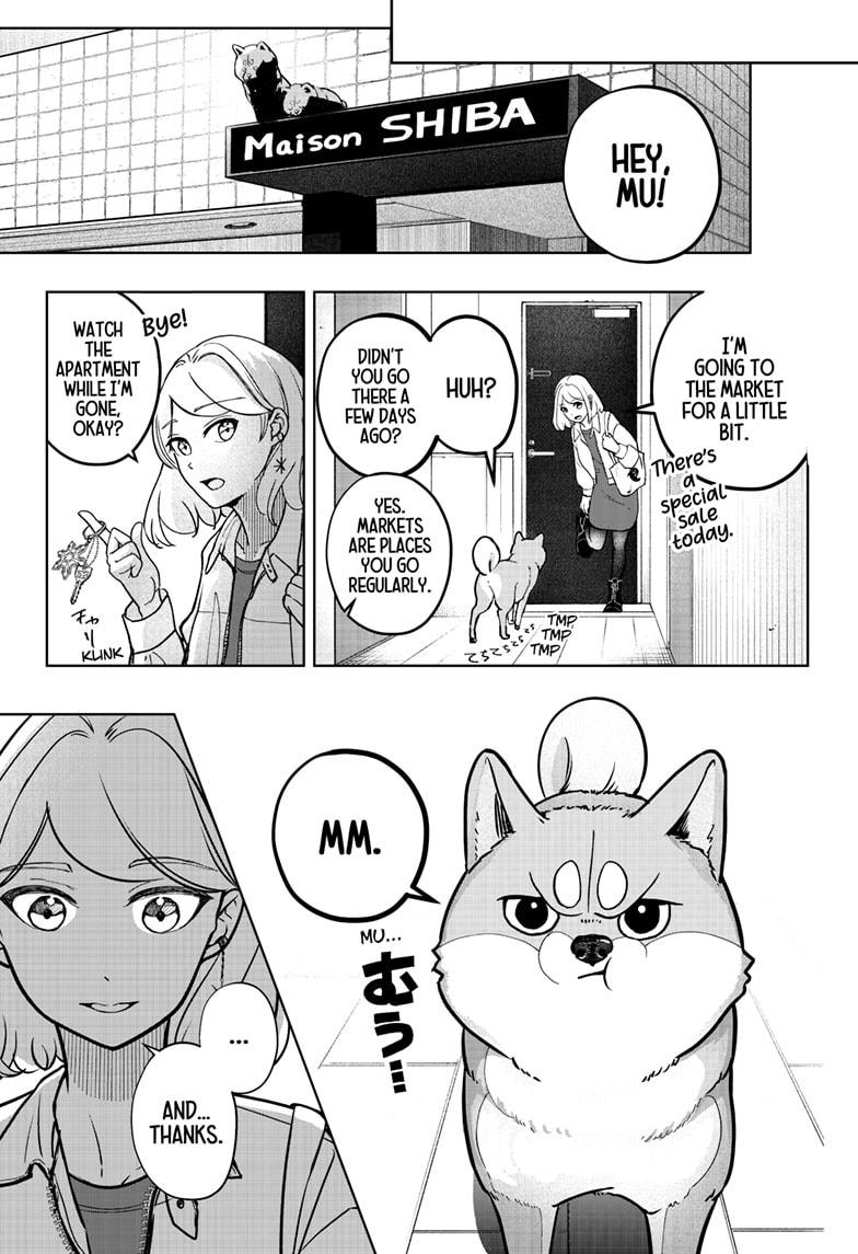 Shiba Inu Rooms Chapter 5 23