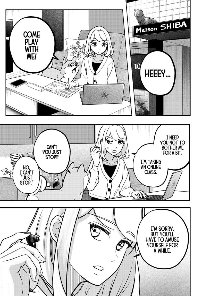 Shiba Inu Rooms Chapter 6 1