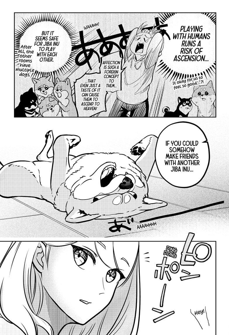Shiba Inu Rooms Chapter 6 9