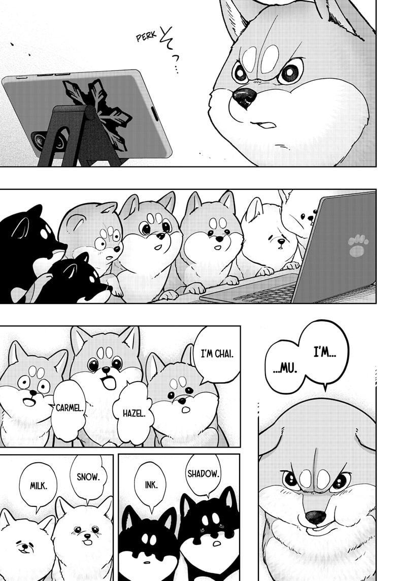 Shiba Inu Rooms Chapter 6 17