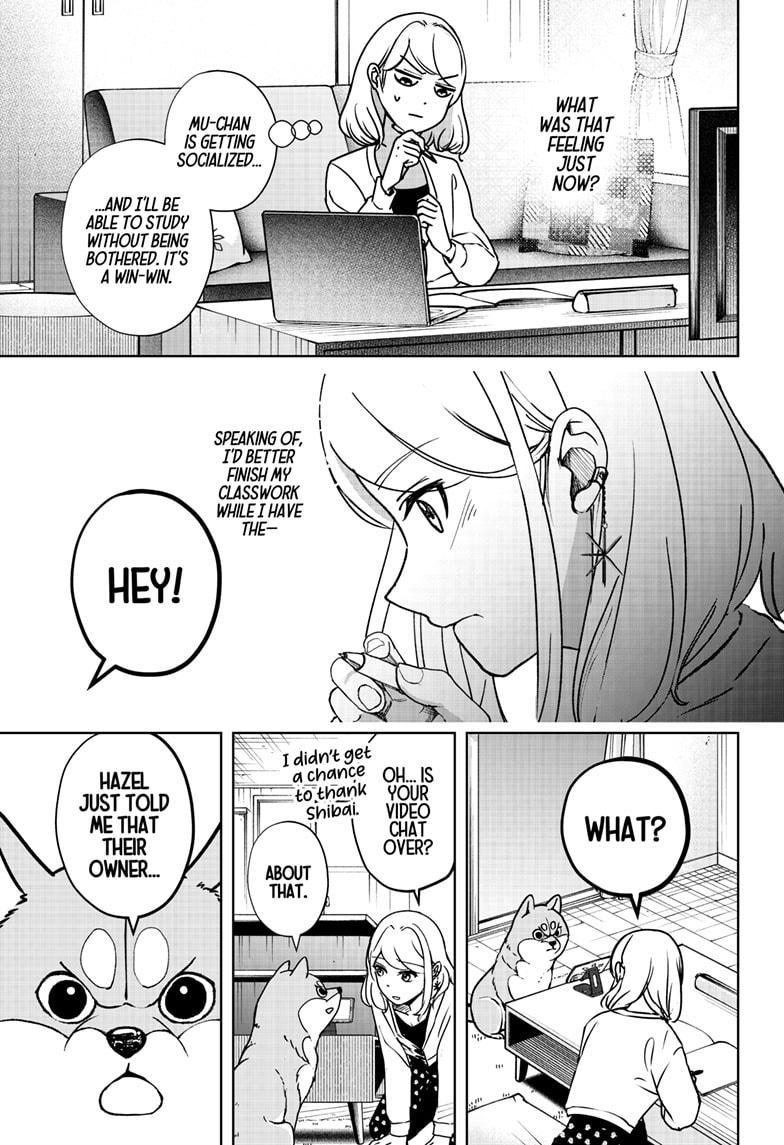 Shiba Inu Rooms Chapter 6 23