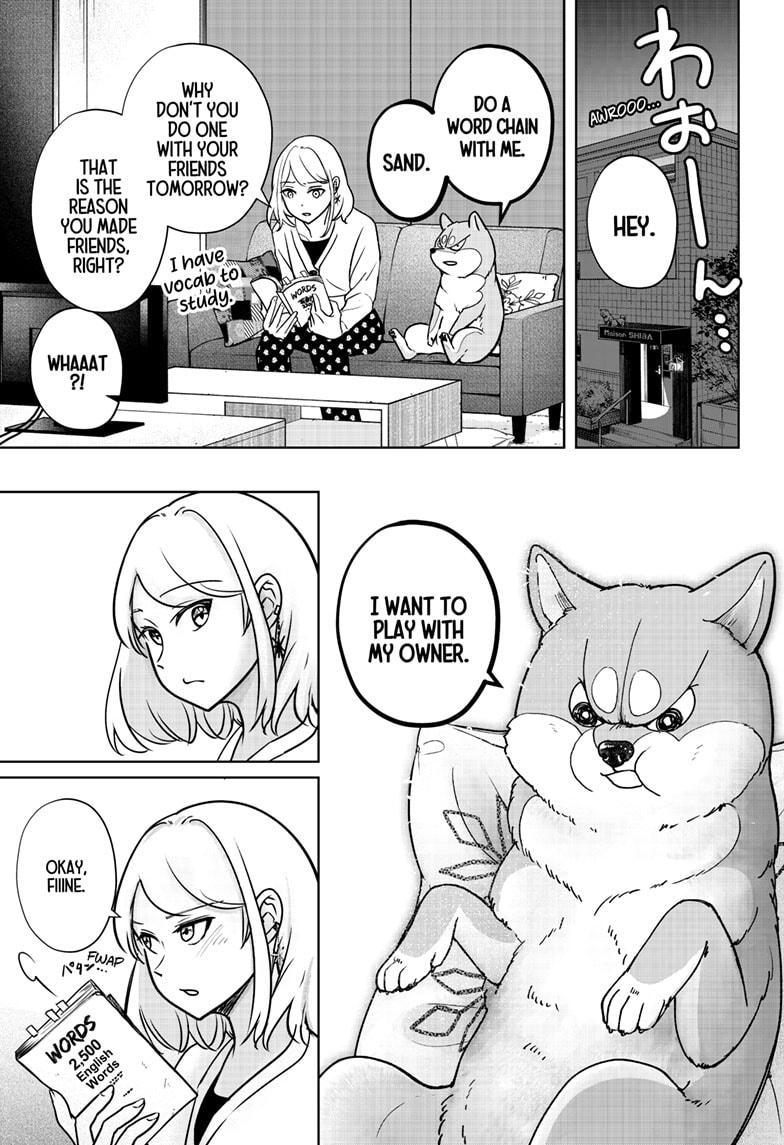 Shiba Inu Rooms Chapter 6 25