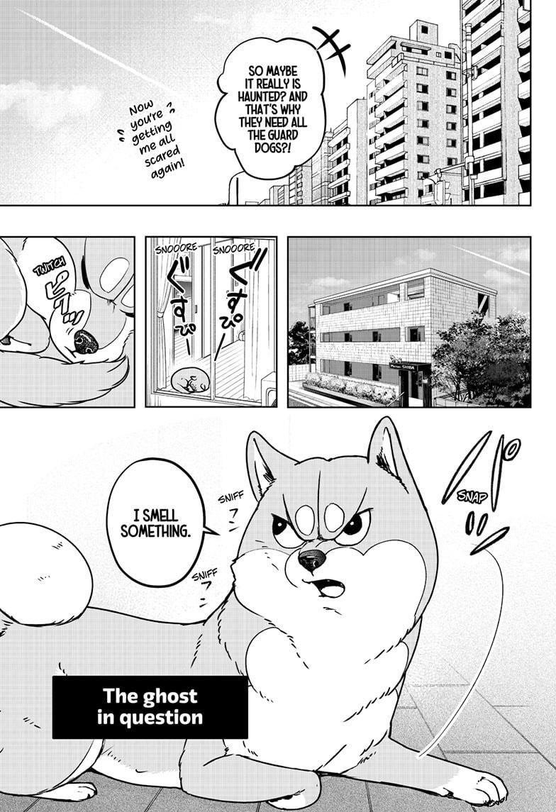 Shiba Inu Rooms Chapter 7 5