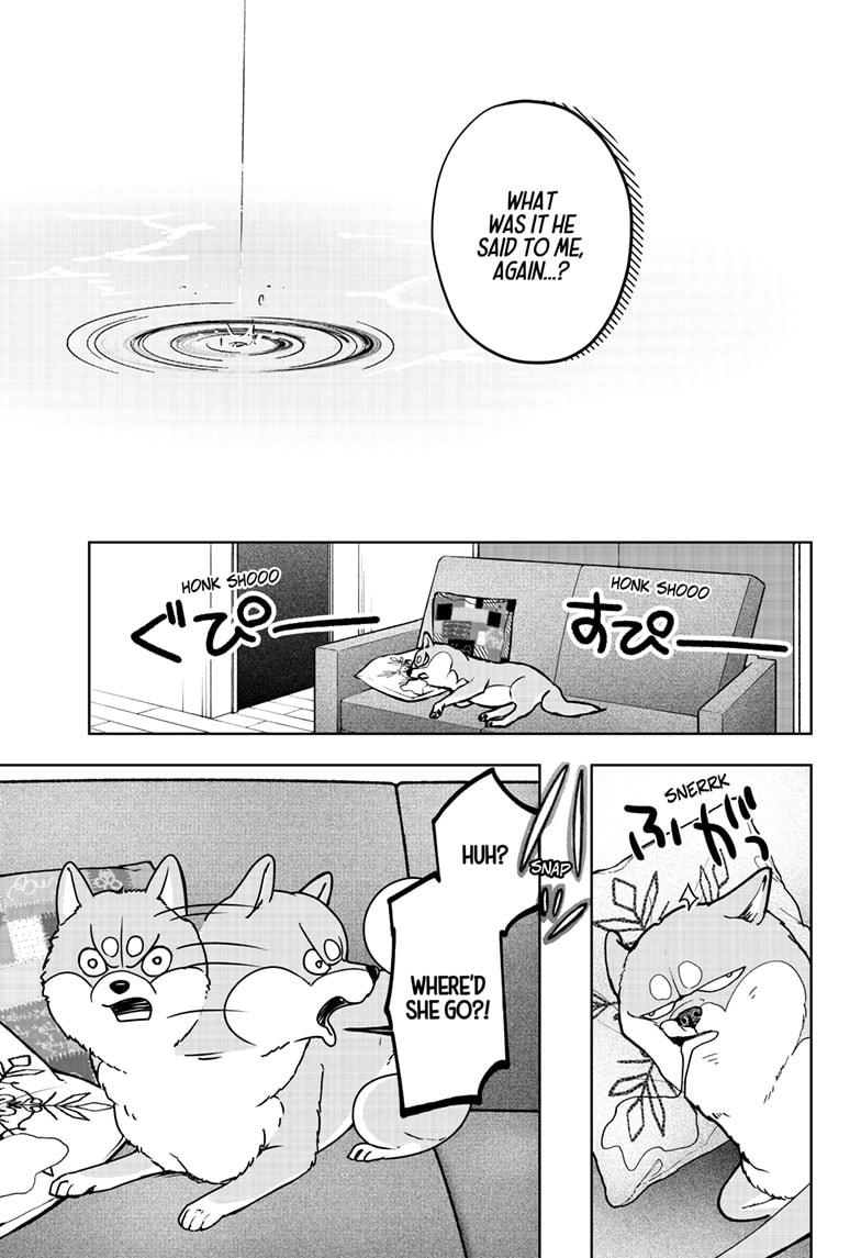Shiba Inu Rooms Chapter 7 15