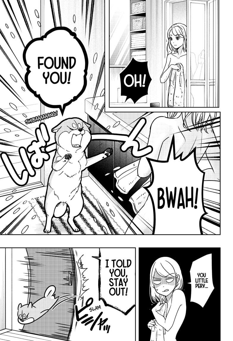 Shiba Inu Rooms Chapter 7 17