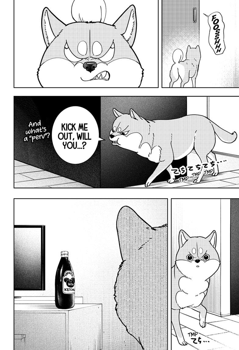 Shiba Inu Rooms Chapter 7 18