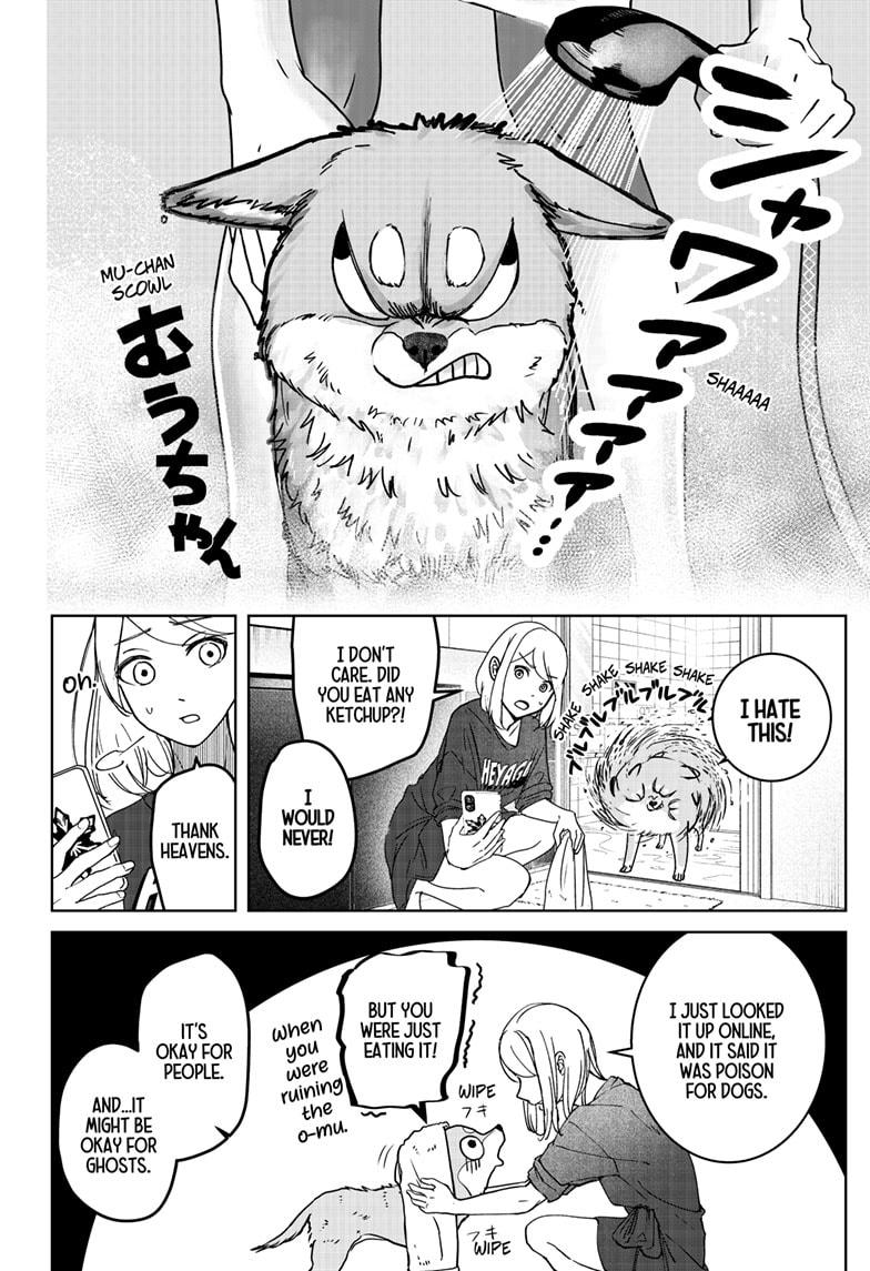 Shiba Inu Rooms Chapter 7 22
