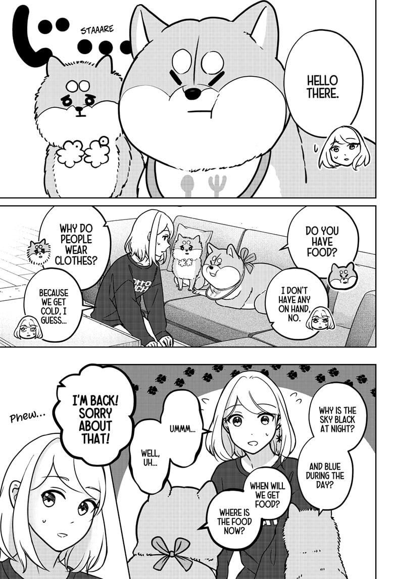 Shiba Inu Rooms Chapter 8 13