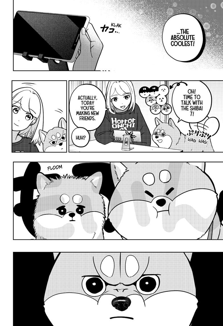 Shiba Inu Rooms Chapter 8 22