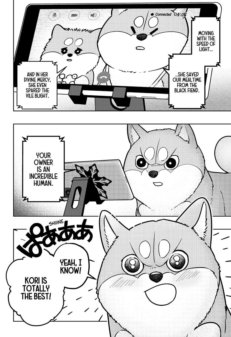 Shiba Inu Rooms Chapter 8 24