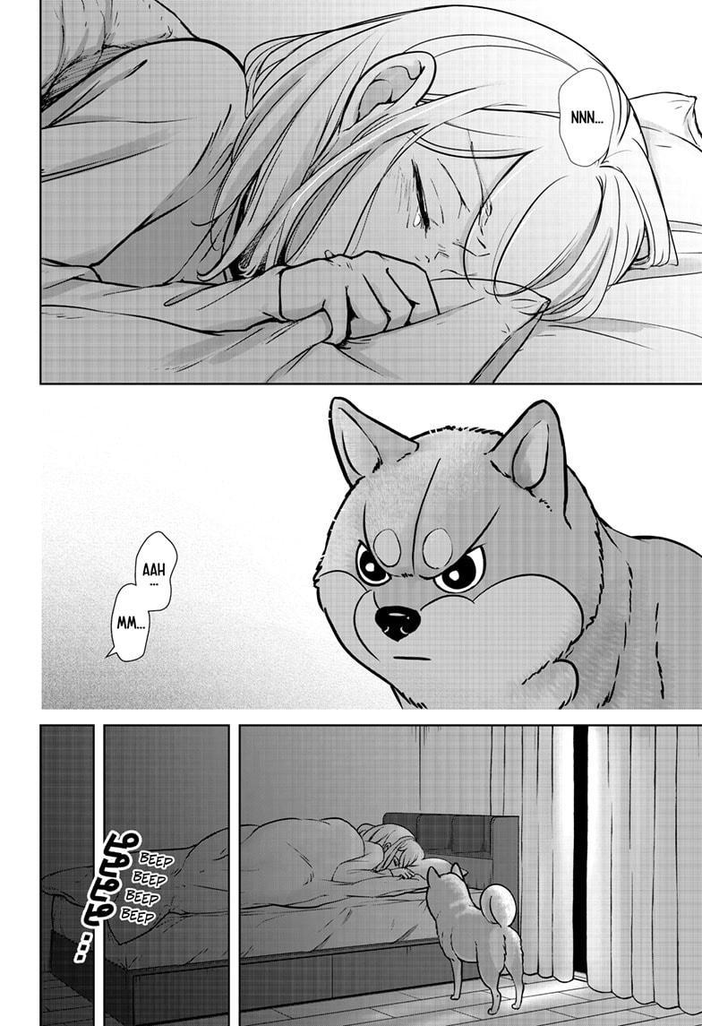 Shiba Inu Rooms Chapter 9 13