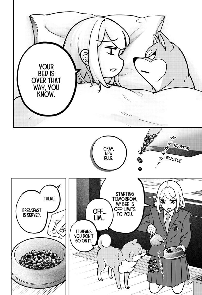 Shiba Inu Rooms Chapter 9 15