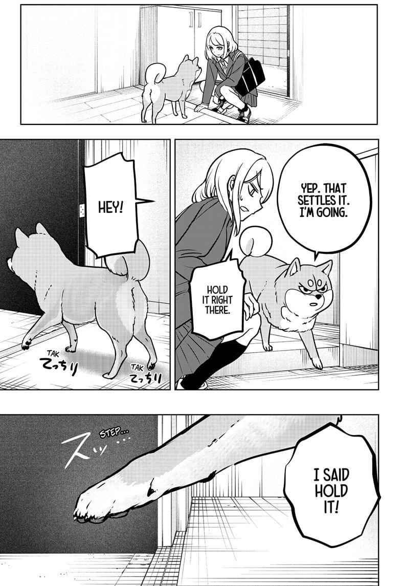 Shiba Inu Rooms Chapter 9 20