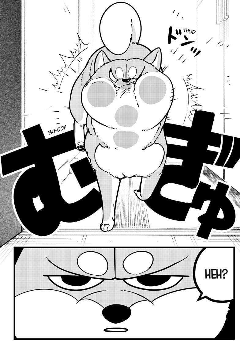 Shiba Inu Rooms Chapter 9 21