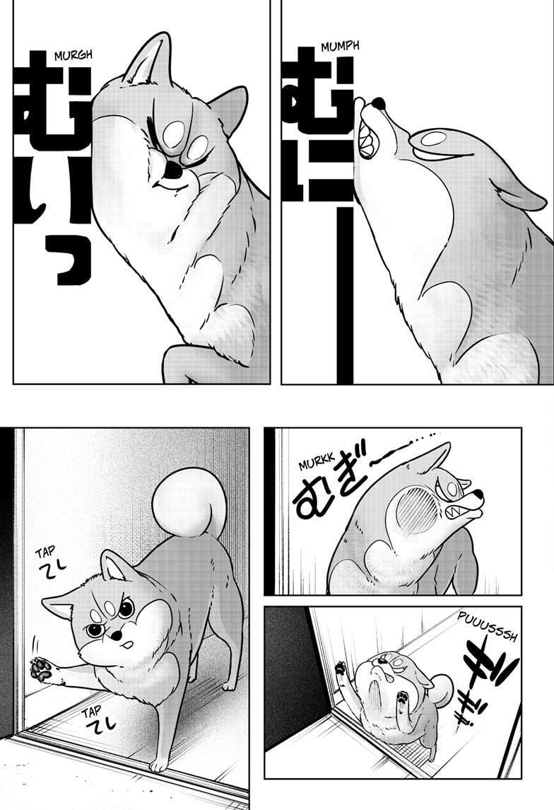 Shiba Inu Rooms Chapter 9 22