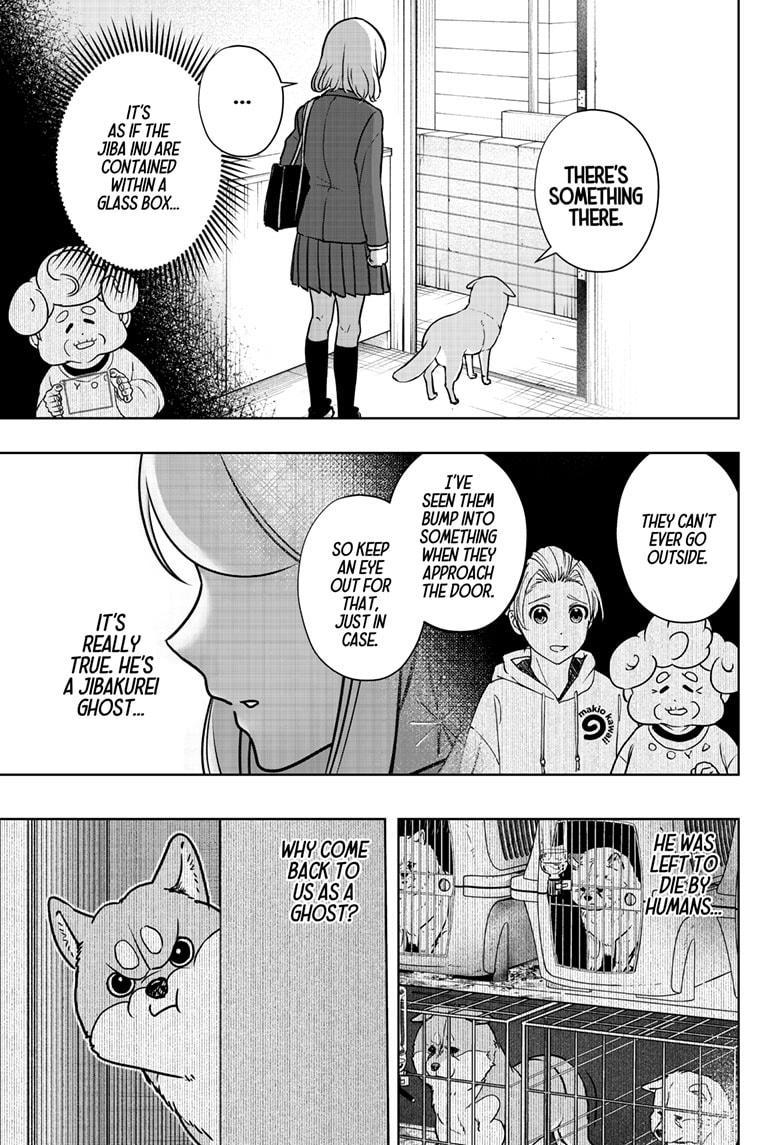 Shiba Inu Rooms Chapter 9 24