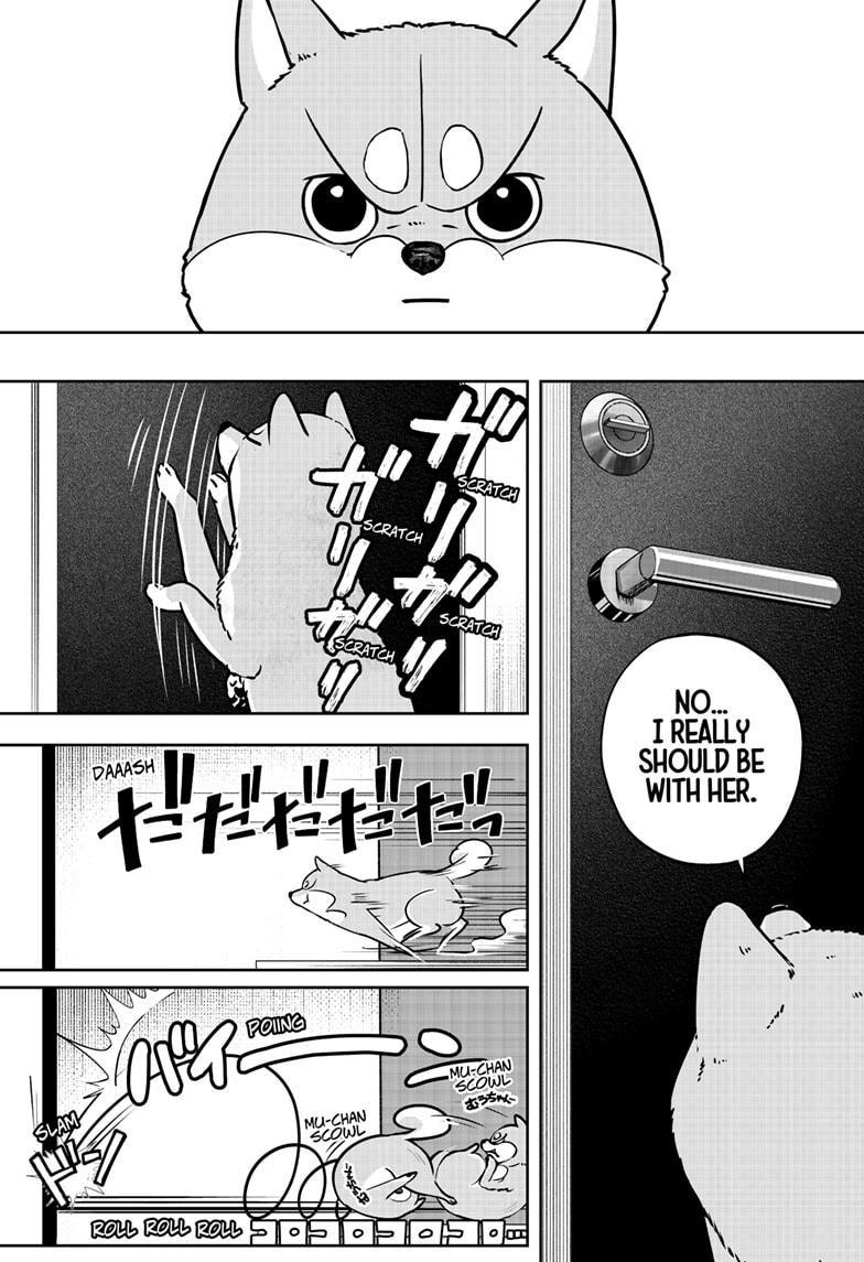 Shiba Inu Rooms Chapter 9 30