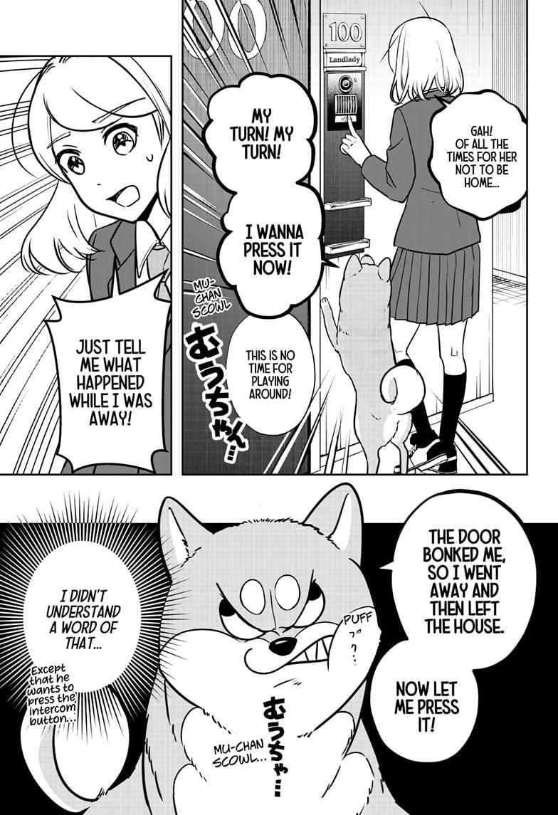 Shiba Inu Rooms Chapter 9 40