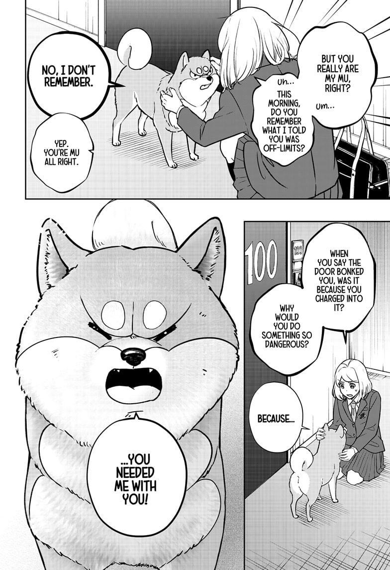Shiba Inu Rooms Chapter 9 41