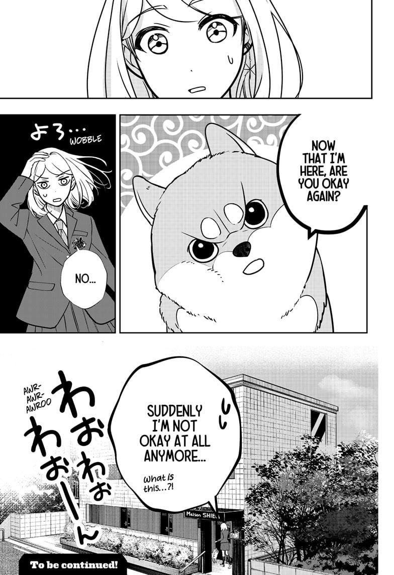 Shiba Inu Rooms Chapter 9 42