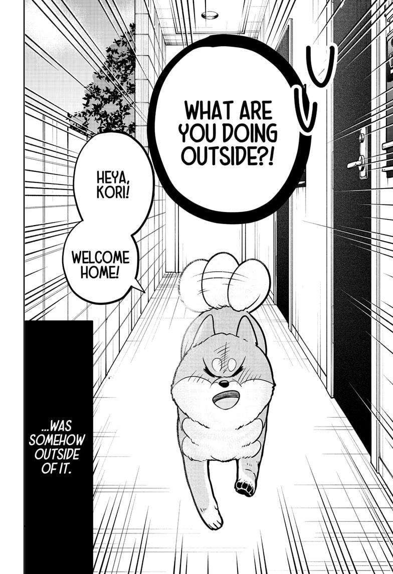 Shiba Inu Rooms Chapter 10 2