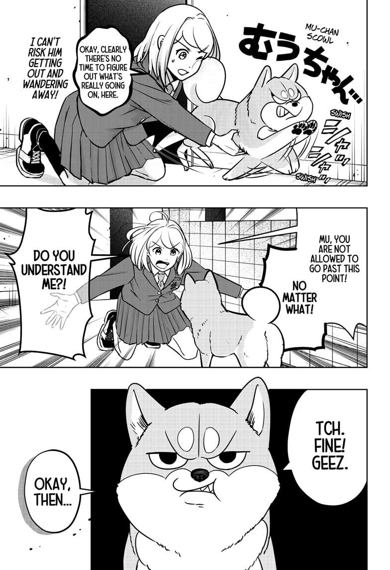 Shiba Inu Rooms Chapter 10 5