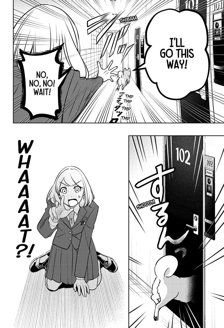 Shiba Inu Rooms Chapter 10 6