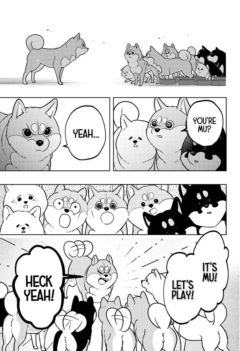 Shiba Inu Rooms Chapter 10 9