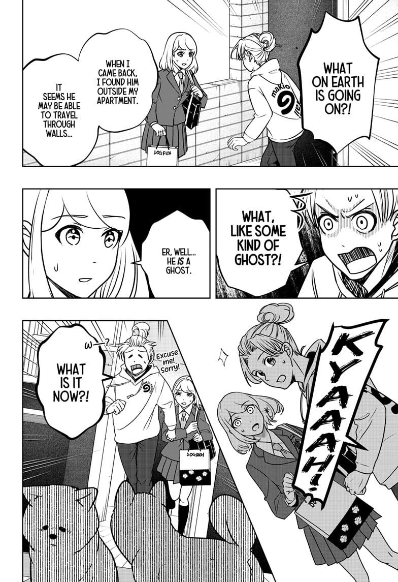 Shiba Inu Rooms Chapter 10 10