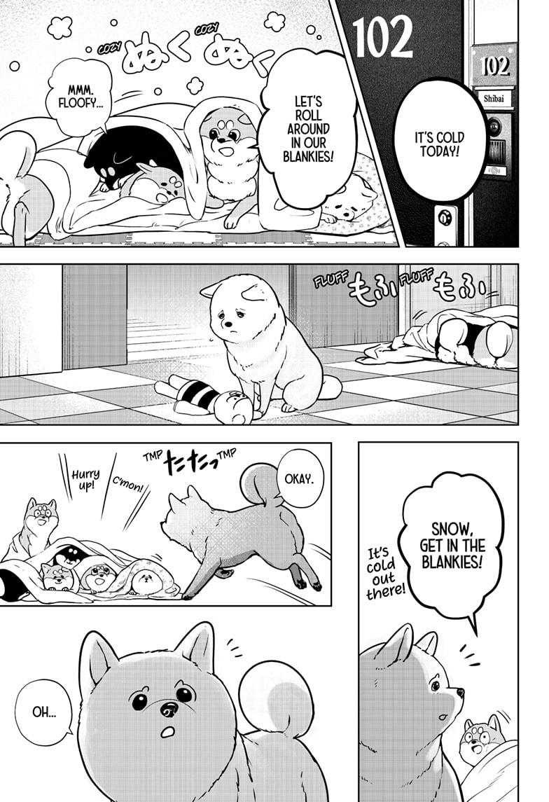 Shiba Inu Rooms Chapter 10 19