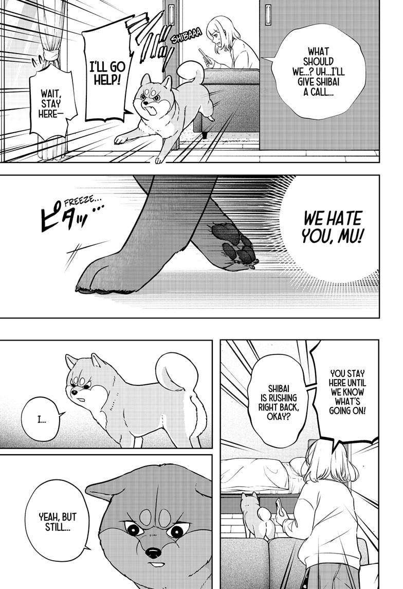 Shiba Inu Rooms Chapter 10 21