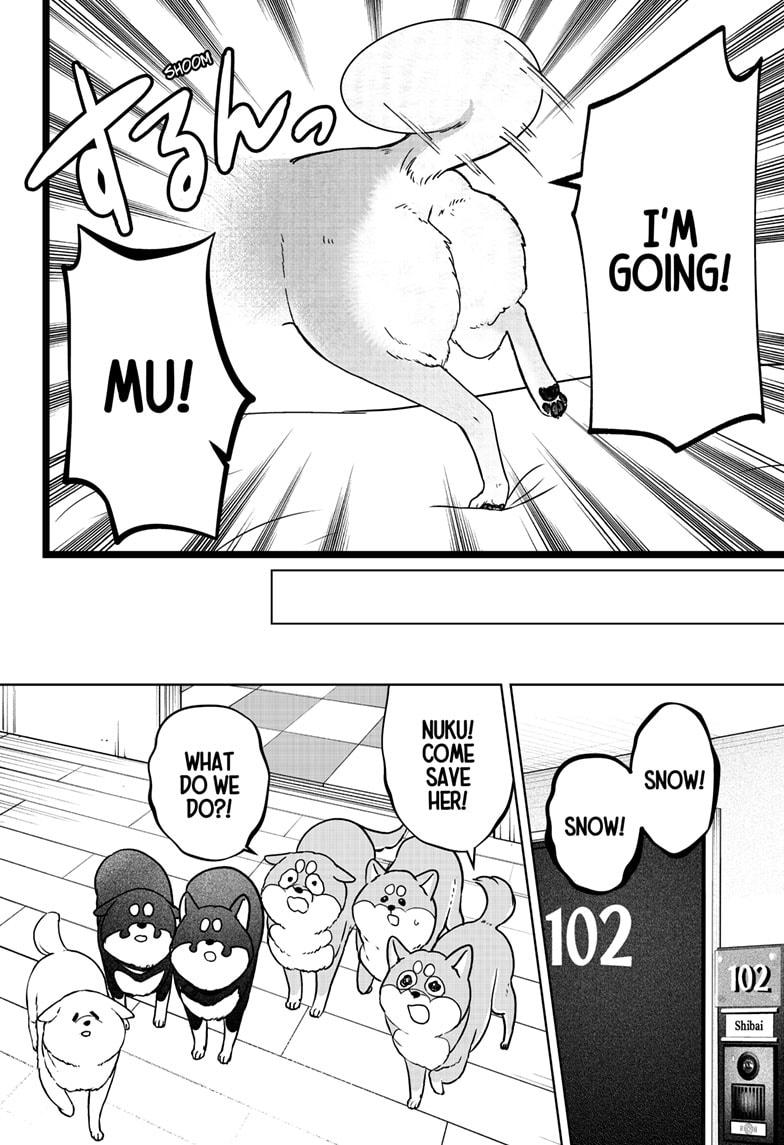 Shiba Inu Rooms Chapter 10 22