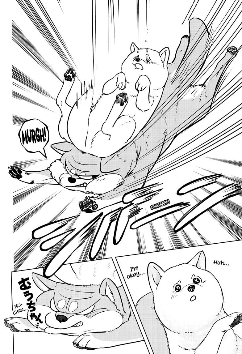 Shiba Inu Rooms Chapter 10 24