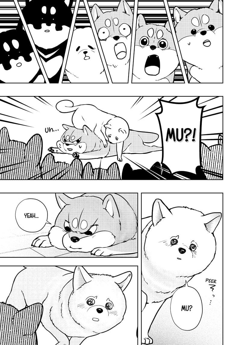 Shiba Inu Rooms Chapter 10 25