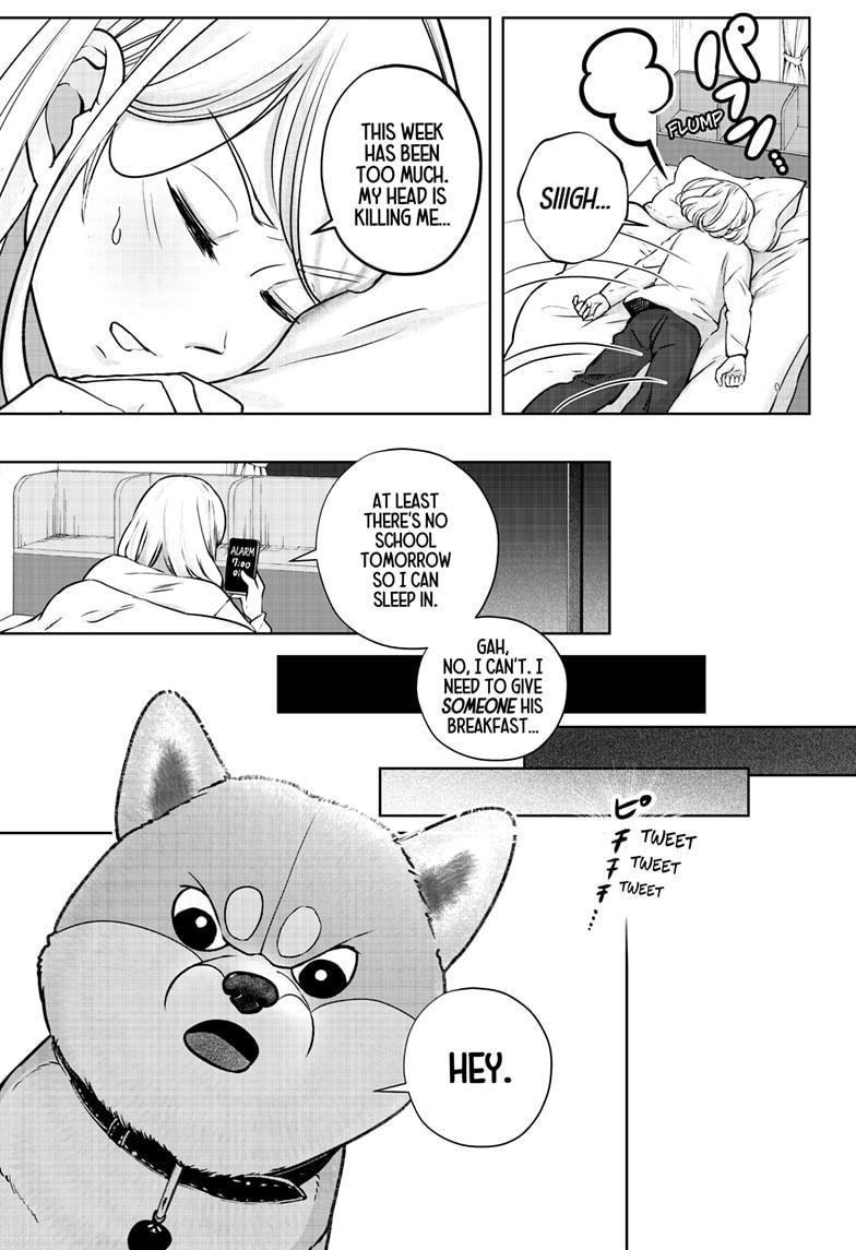 Shiba Inu Rooms Chapter 11 3