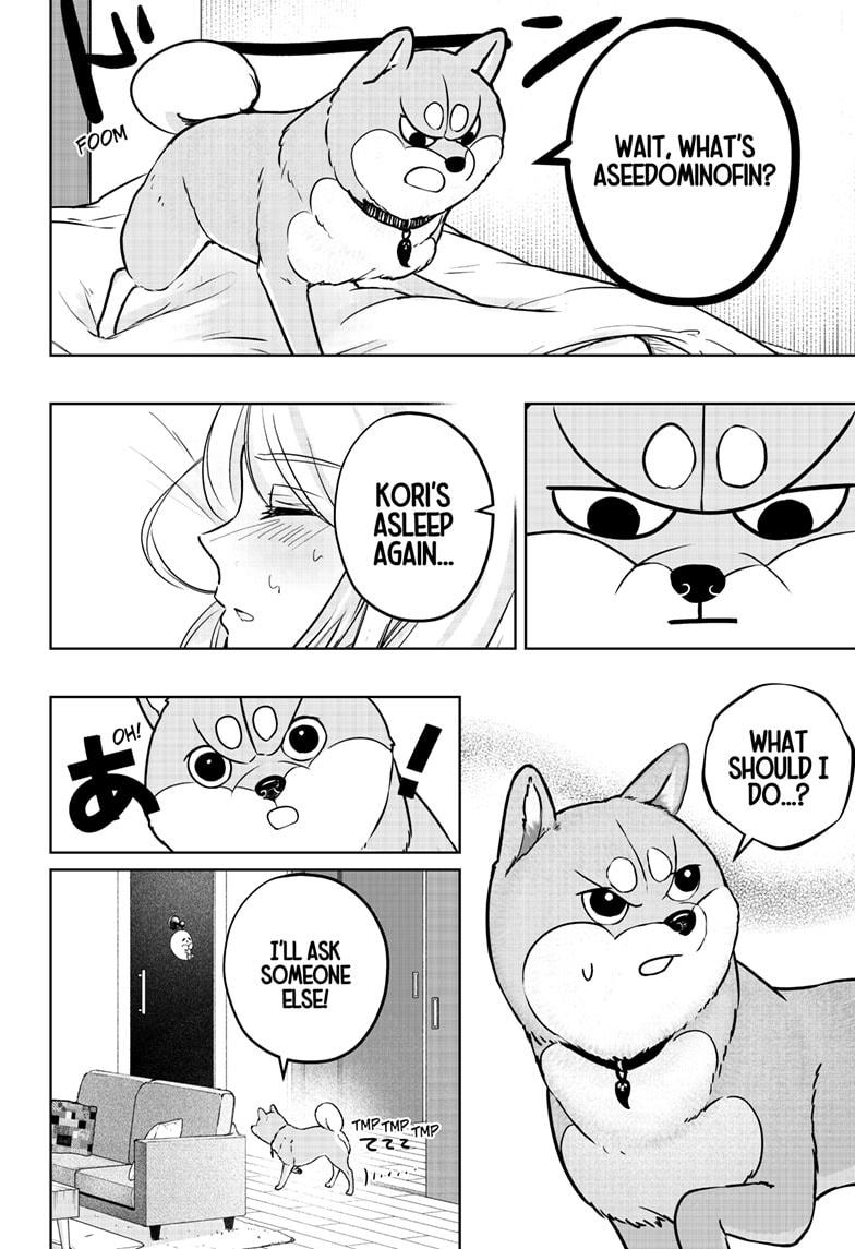 Shiba Inu Rooms Chapter 11 6