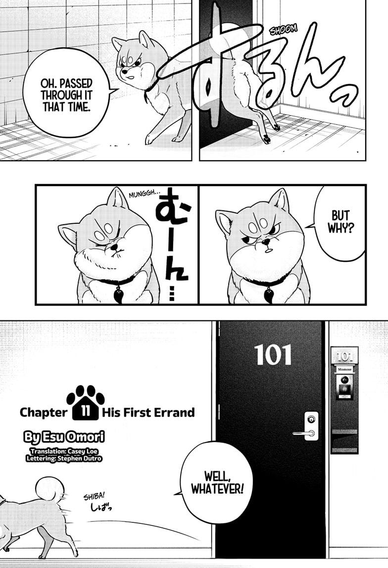 Shiba Inu Rooms Chapter 11 7