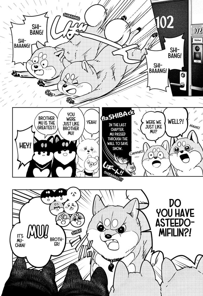 Shiba Inu Rooms Chapter 11 8