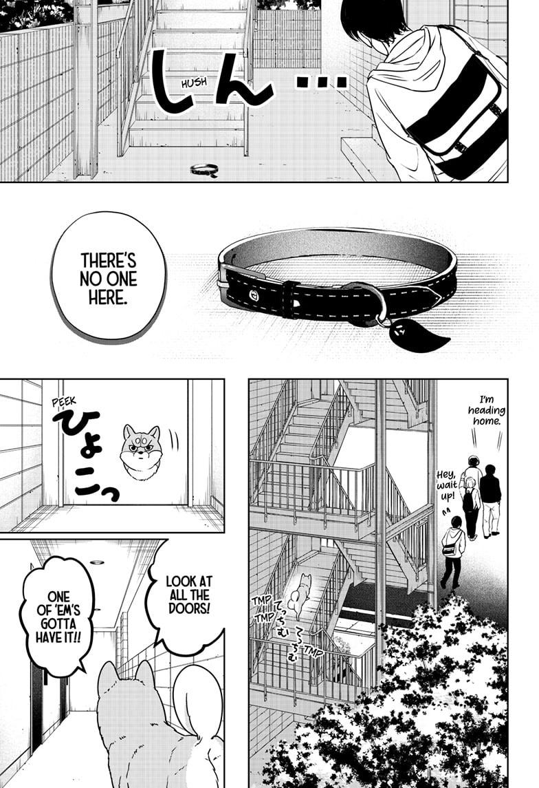 Shiba Inu Rooms Chapter 11 13