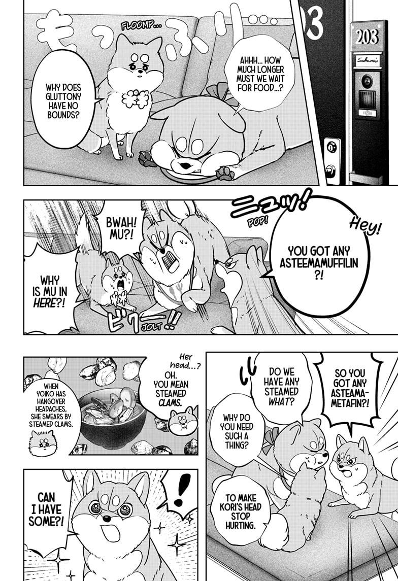 Shiba Inu Rooms Chapter 11 14