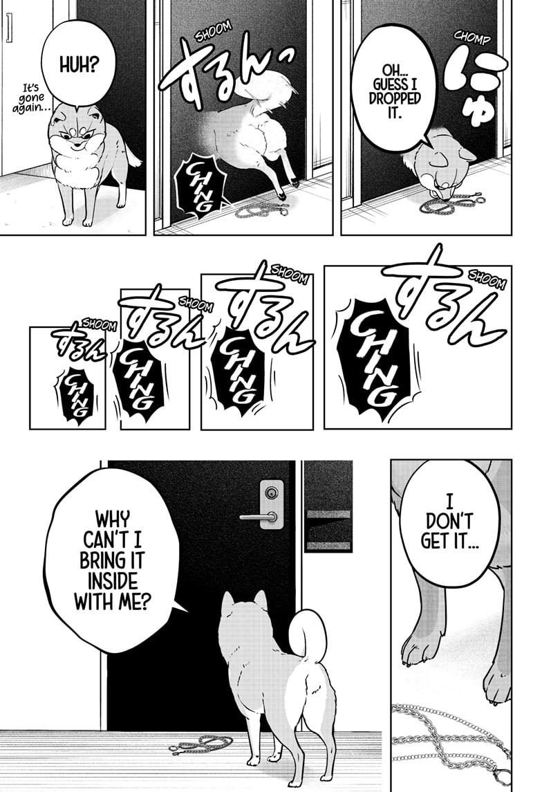 Shiba Inu Rooms Chapter 11 19