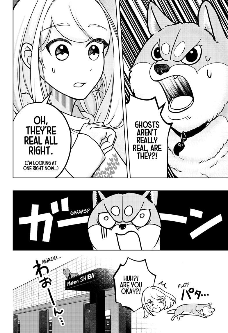 Shiba Inu Rooms Chapter 12 4