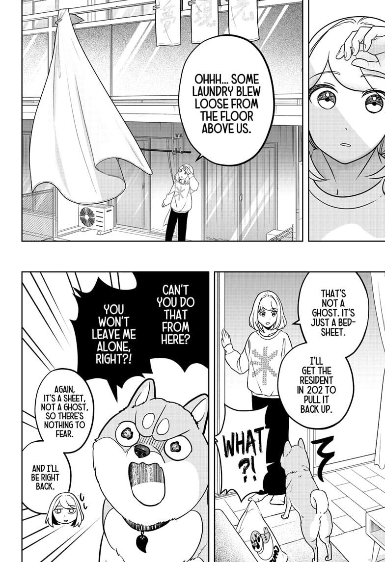 Shiba Inu Rooms Chapter 12 8