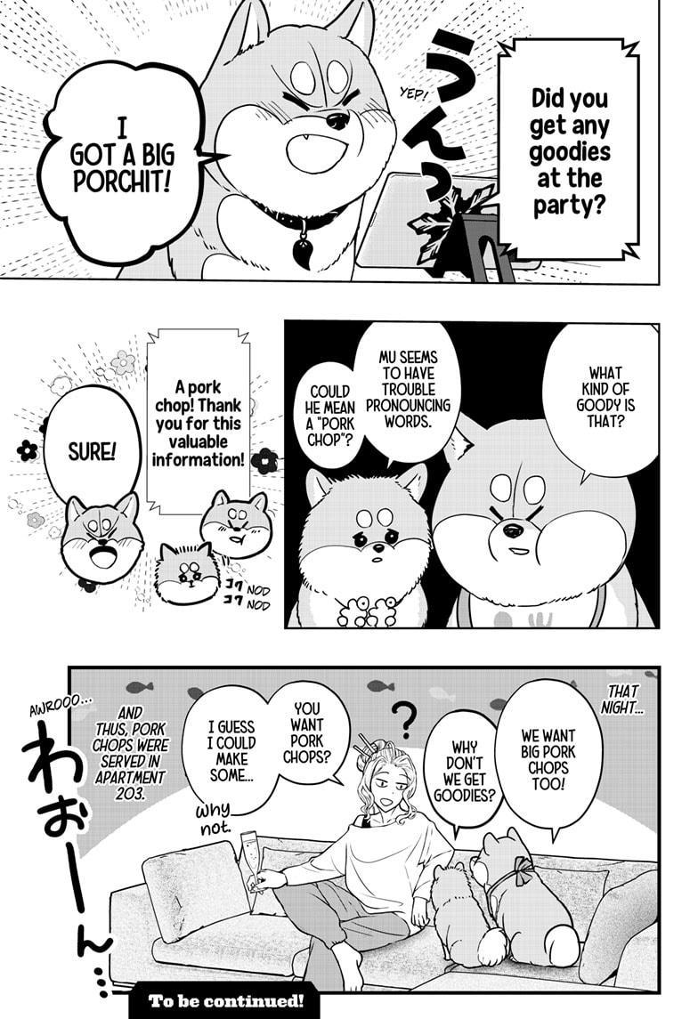 Shiba Inu Rooms Chapter 13 25