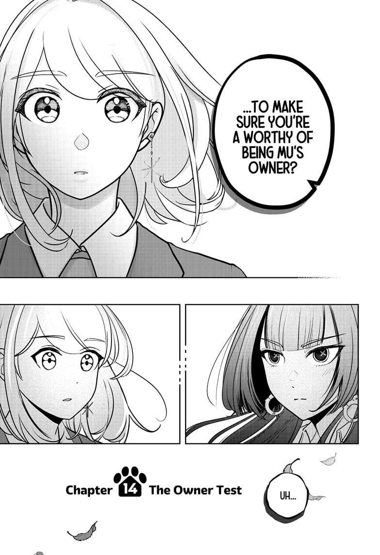 Shiba Inu Rooms Chapter 14 9