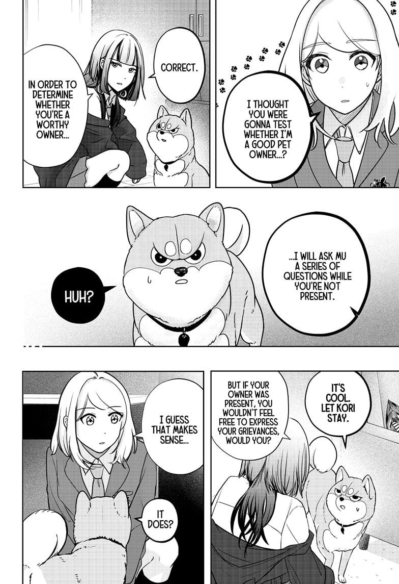 Shiba Inu Rooms Chapter 14 12