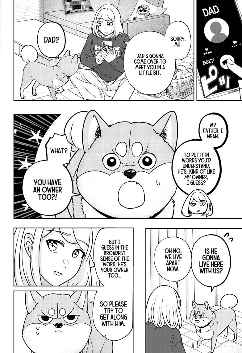 Shiba Inu Rooms Chapter 16 4